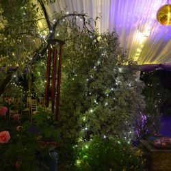 Gold mirror ball with spotlights in a clearspan party marquee