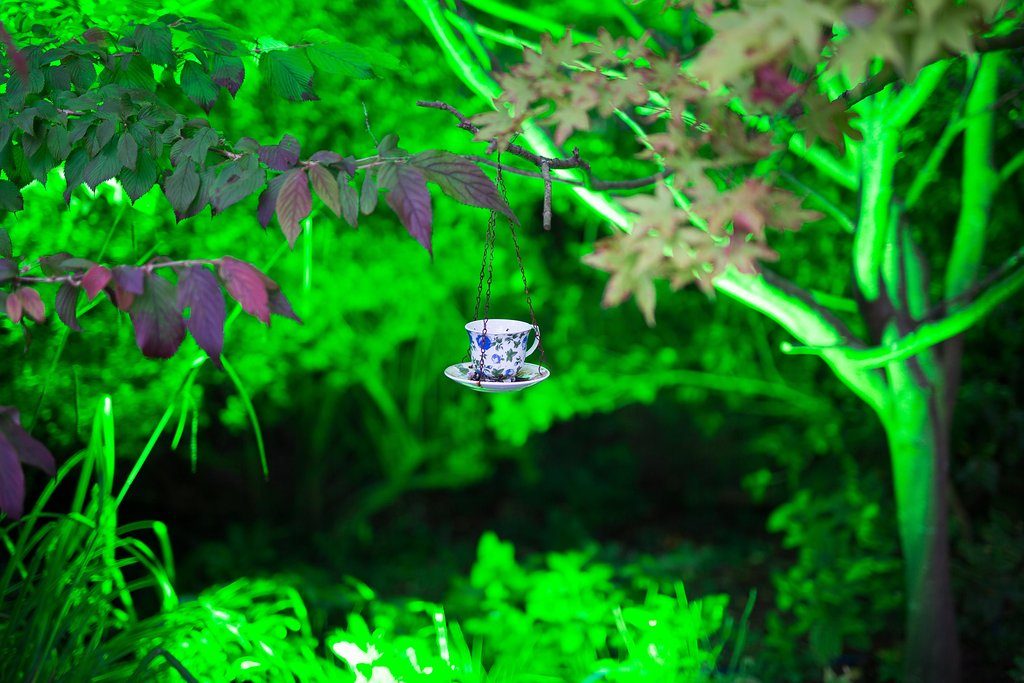 Green outdoor floodlight lighting up a tree