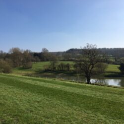 View of lake at Whitbourne Farm in Somerset