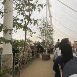 Birch trees decorating the poles in a traditional marquee built by Archers Marquees